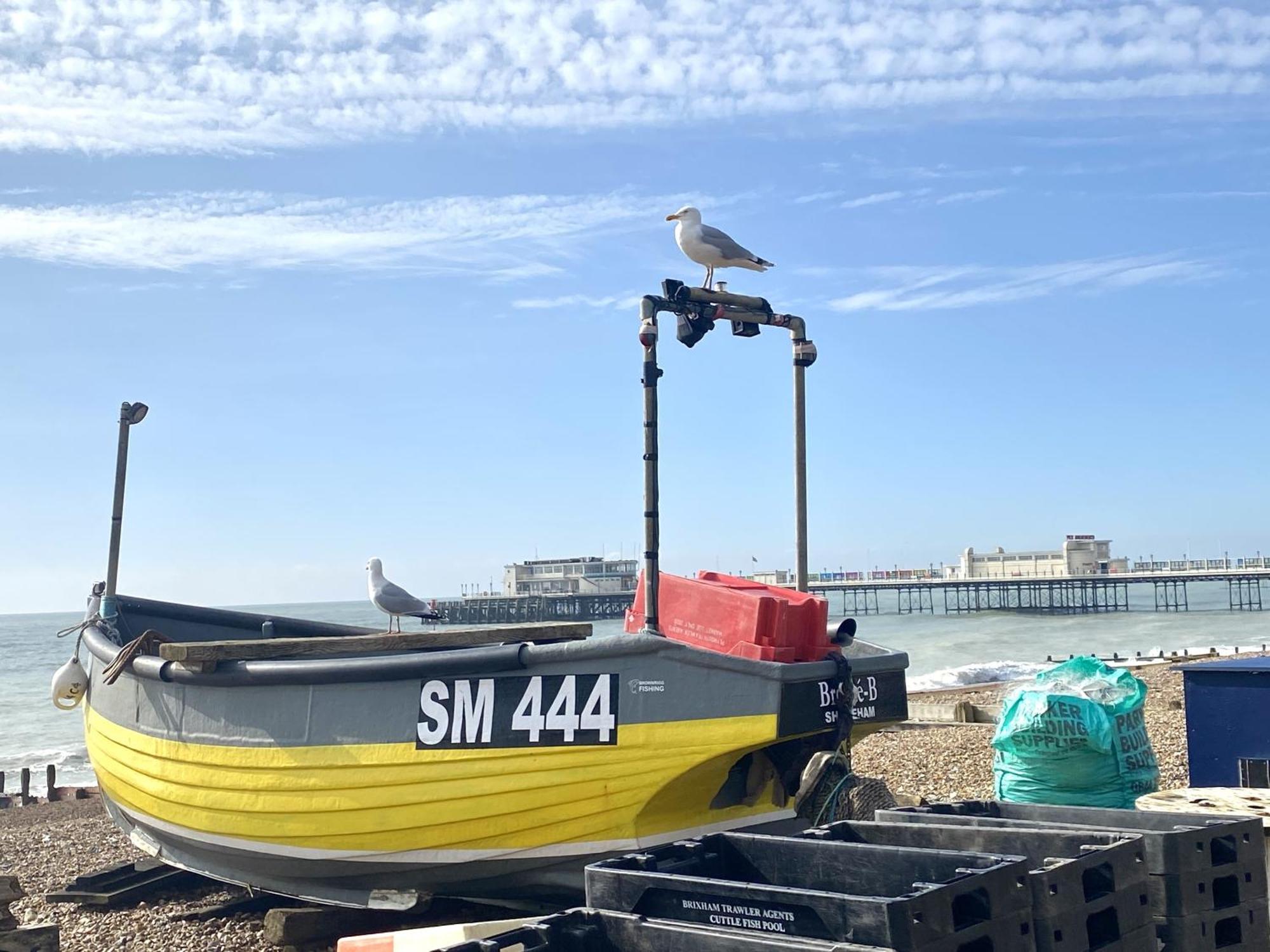 Stunning 2 Bed Apartment Sea Views And Parking Worthing Exterior photo